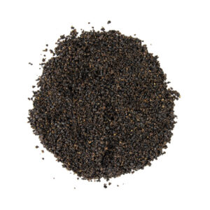 ELDERBERRY POWDER ( Sambucus ebulus)